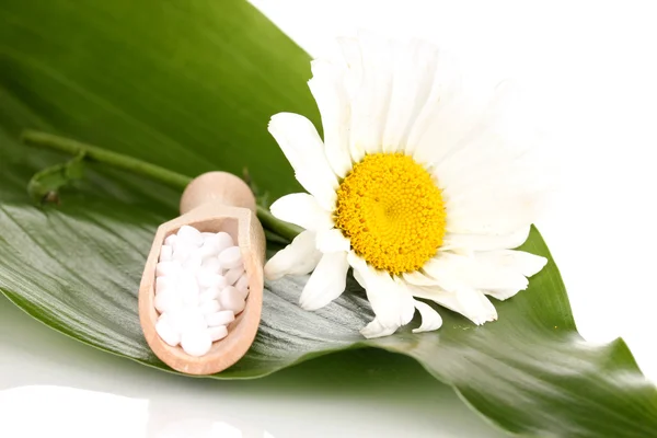 Гомеопатичні таблетки і квітка на зеленому листі ізольовані на білому — стокове фото