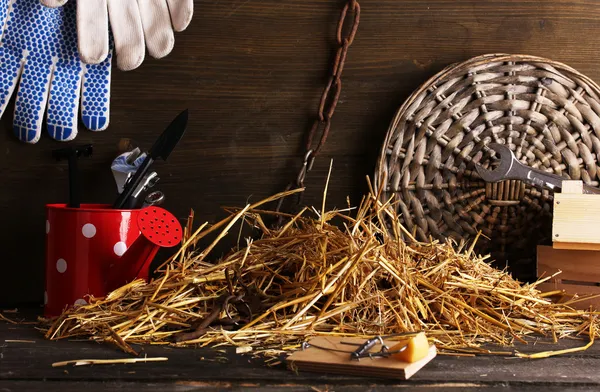 Mousetrap com um pedaço de queijo no celeiro em fundo de madeira — Fotografia de Stock