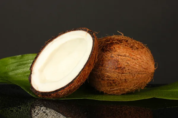 Noci di cocco con foglia verde isolata su sfondo nero primo piano — Foto Stock