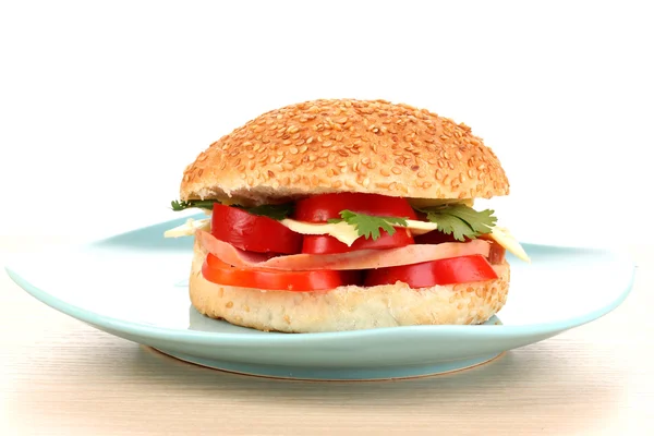 सफेद पर अलग रंग प्लेट पर सैंडविच का स्वाद लेना — स्टॉक फ़ोटो, इमेज
