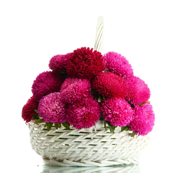 Flores rosa aster em cesta, isolado em branco — Fotografia de Stock