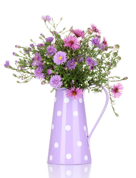 Hermoso ramo de flores púrpuras en regadera aislada en blanco — Foto de Stock