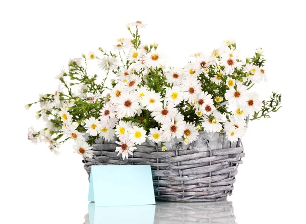 Beautiful bouquet of white flowers in basket isolated on white — Stock Photo, Image