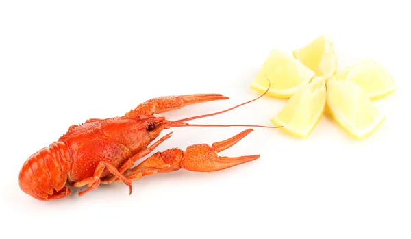 Sabroso cangrejo hervido con limón aislado en blanco —  Fotos de Stock