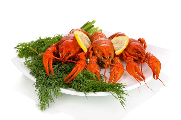 Tasty boiled crayfishes with fennel on plate isolated on white — Stock Photo, Image