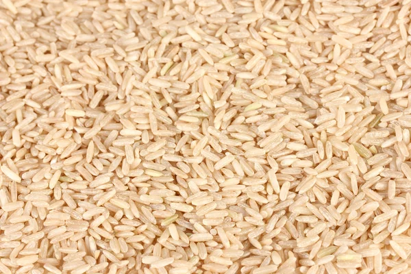 Fondo arroz integral — Foto de Stock