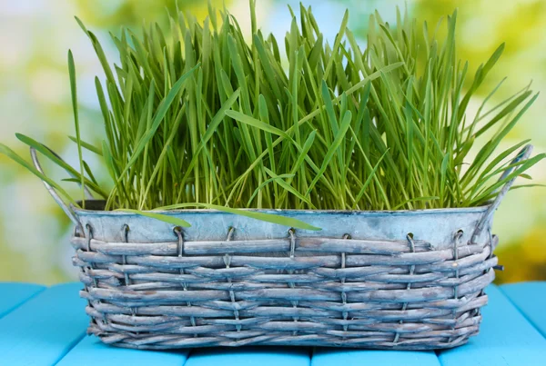 Hierba verde en cesta sobre mesa de madera sobre fondo brillante —  Fotos de Stock