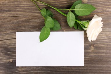 ahşap backgground üzerinde güzel gül