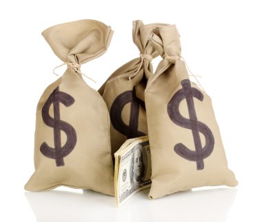 beyaz izole para ile çanta