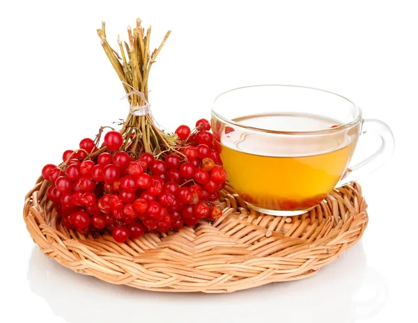 Tea with red viburnum isolated on white — Stock Photo, Image