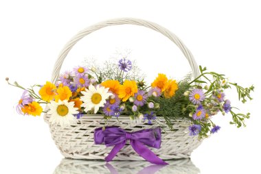 güzel beyaz izole parlak kır çiçekleri sepeti, buket