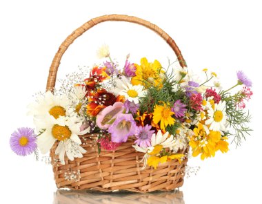 güzel beyaz izole parlak kır çiçekleri sepeti, buket