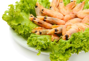 tabakta üzerine beyaz izole marul yaprakları ile haşlanmış karides