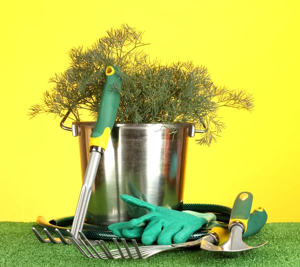 Garden tools on lawn on bright colorful background close-up — Stock Photo, Image