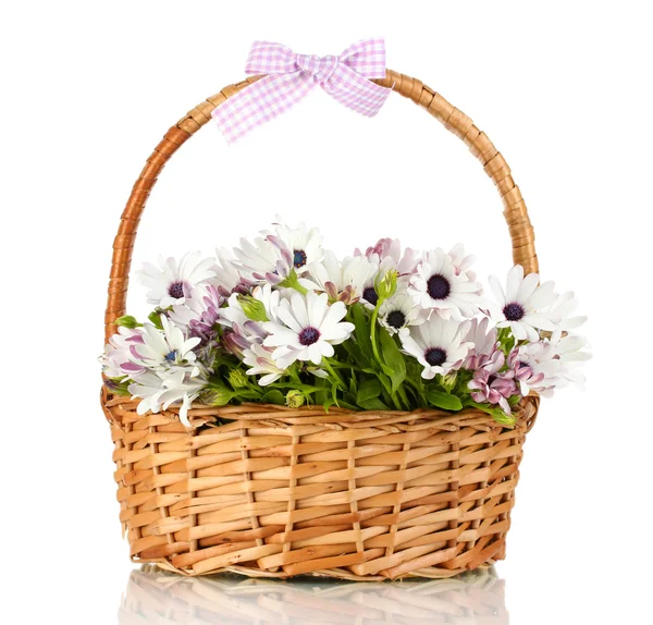 Bouquet of beautiful summer flowers in basket, isolated on white — Stock Photo, Image