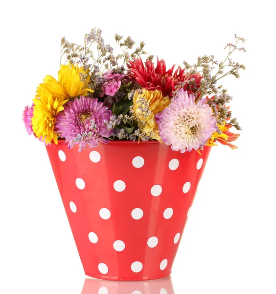 Red bucket with white polka-dot with flowers isolated on white — Stock Photo, Image