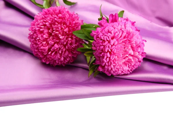 Beautiful aster flowers, on silk background — Stock Photo, Image