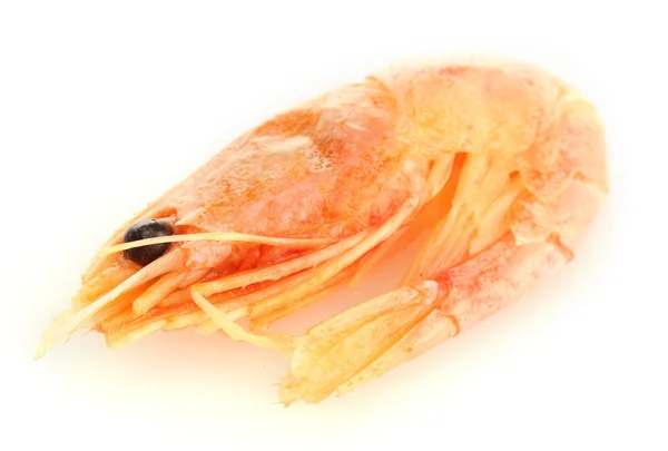 Boiled shrimp isolated on white — Stock Photo, Image