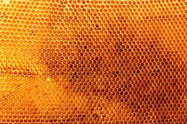 gele mooie honingraat met honing, achtergrond