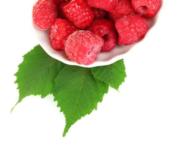 Fresh raspberries in white saucer on white background close-up — Stock Photo, Image