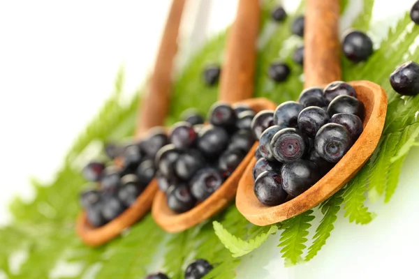 Tasty blueberries in wooden spoons on fern close-up — Stock Photo, Image