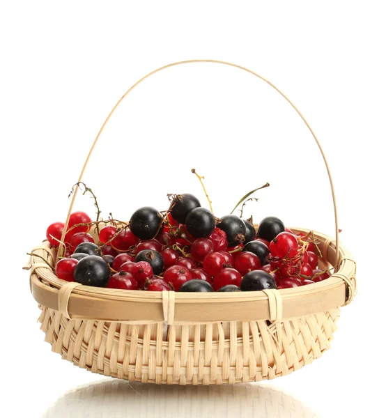 Ripe berries in basket isolated on white — Stock Photo, Image