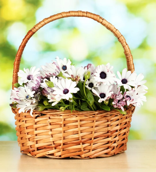 Ramo de hermosas flores de verano en cesta, sobre fondo verde —  Fotos de Stock