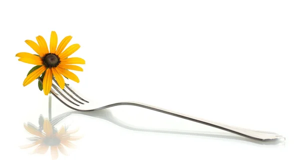 Fork and flower, isolated on white — Stock Photo, Image