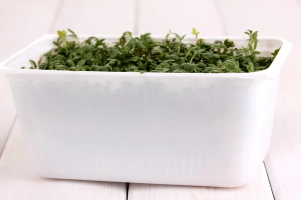 Fresh garden cress in white plastic box on wooden table — Stock Photo, Image