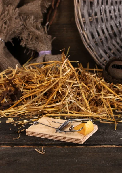 Mousetrap com um pedaço de queijo close-up no celeiro em fundo de madeira — Fotografia de Stock