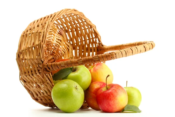 Sweet apples in basket, isolated on white — Stock Photo, Image