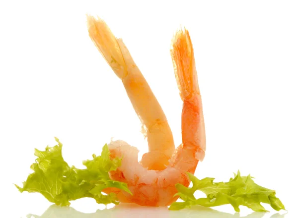 Boiled shrimps and lettuce leaf, isolated on white — Stock Photo, Image