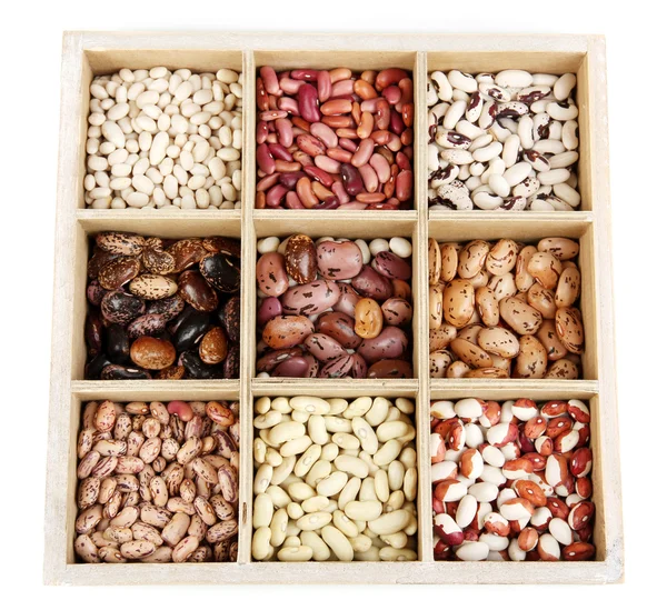 Diverse beans in wooden box sections isolated on white — Stock Photo, Image