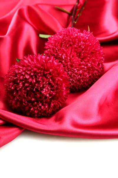 美丽翠菊鲜花的丝绸背景 — 图库照片