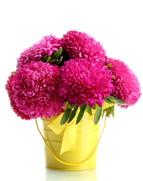 Pink aster flowers in pail, isolated on white — Stok Foto