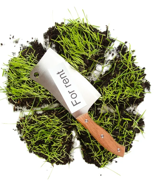 Hierba verde con suelo como concepto de venta de terreno aislado en blanco —  Fotos de Stock