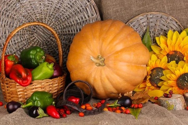 Hervorragendes Herbststillleben mit Kürbis auf Säcken — Stockfoto