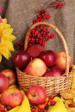 Elmalarla dolu renkli bir sonbahar.