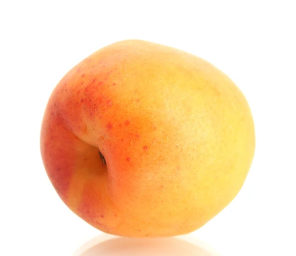 Стиглий солодкий абрикос ізольований на білому — стокове фото