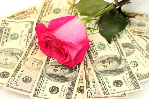 Koncepcja miłość i pieniądze — Zdjęcie stockowe