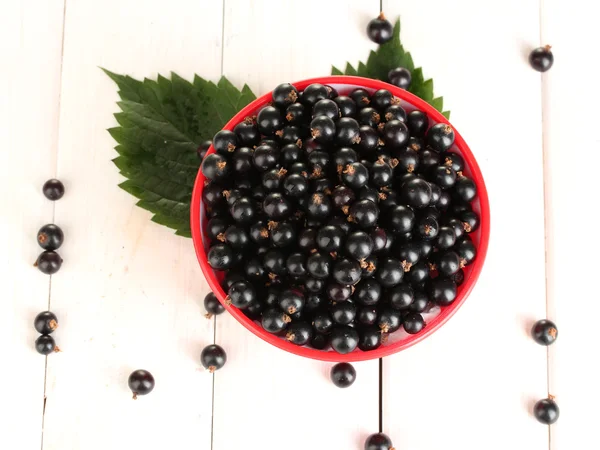 Frische schwarze Johannisbeere in bunter Schale auf weißem Holzhintergrund Nahaufnahme — Stockfoto