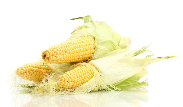Čerstvá kukuřice izolovaná na bílé — Stock fotografie