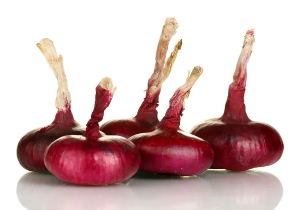 Beyaz arkaplanda kırmızı soğan izole edildi — Stok fotoğraf