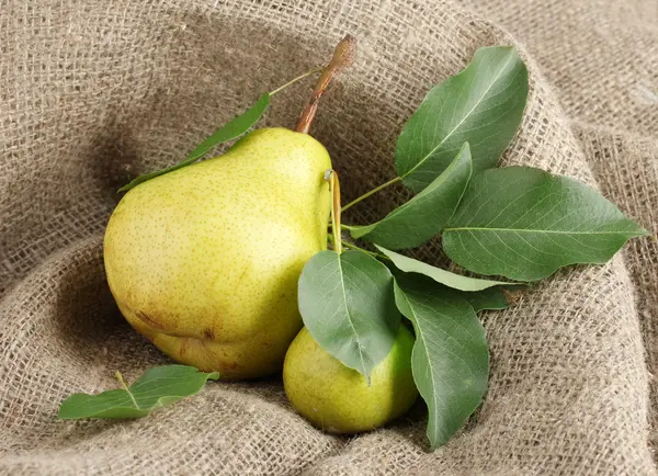 Juicy flavorful pears on sackcloth — Stock Photo, Image