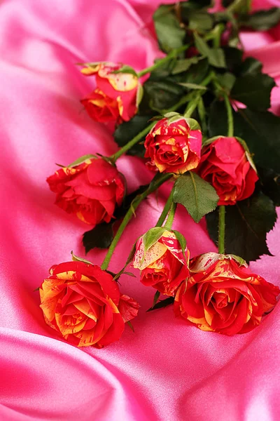 Wunderschöne rot-gelbe Rosen auf rosa Satin Nahaufnahme — Stockfoto