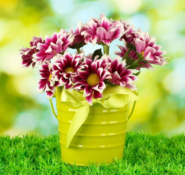 Красивый букет хризантем в ярком цветном ведре на зеленом — стоковое фото