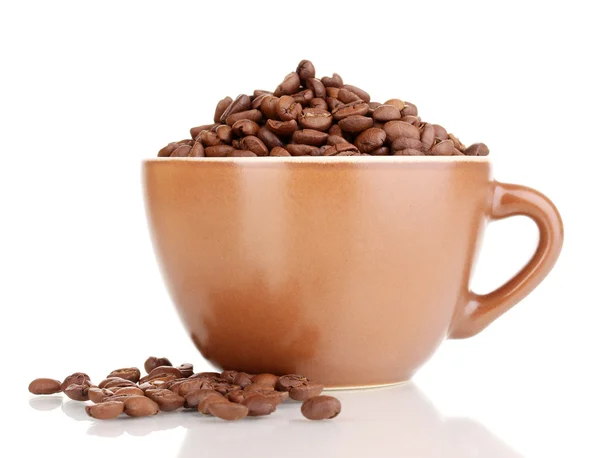 Kaffebønner i kop isoleret på hvid - Stock-foto