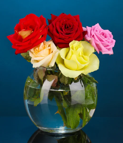 Beautiful roses in glass vase on blue background — Stock Photo, Image