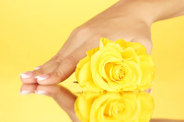 Rosa gialla con mano di donna su sfondo giallo — Foto Stock