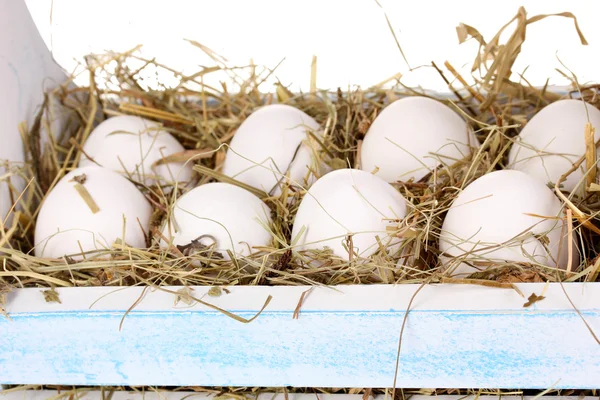 Eco-vriendelijke eieren in houten kist close-up — Stockfoto